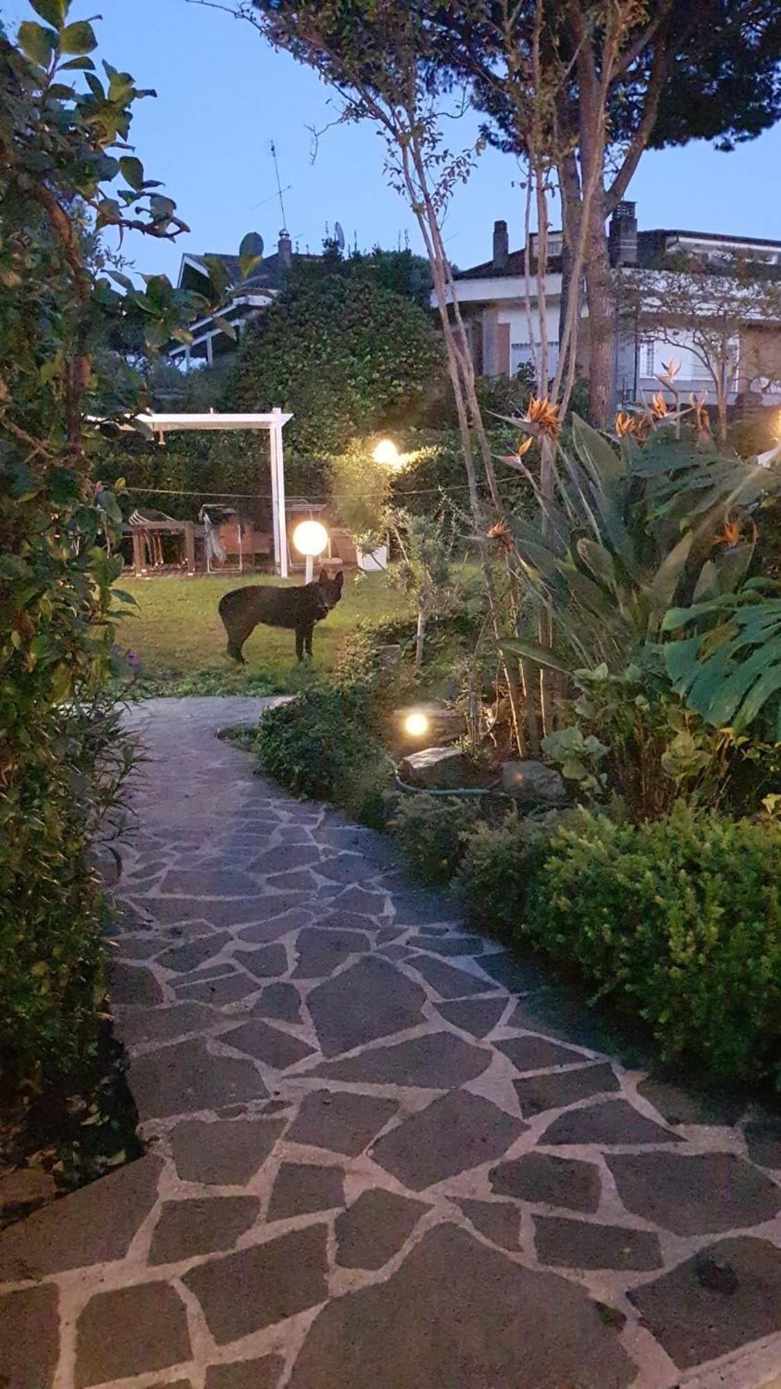 Roma - Casalpalocco - Amipsia Ξενοδοχείο Casal Palocco Εξωτερικό φωτογραφία