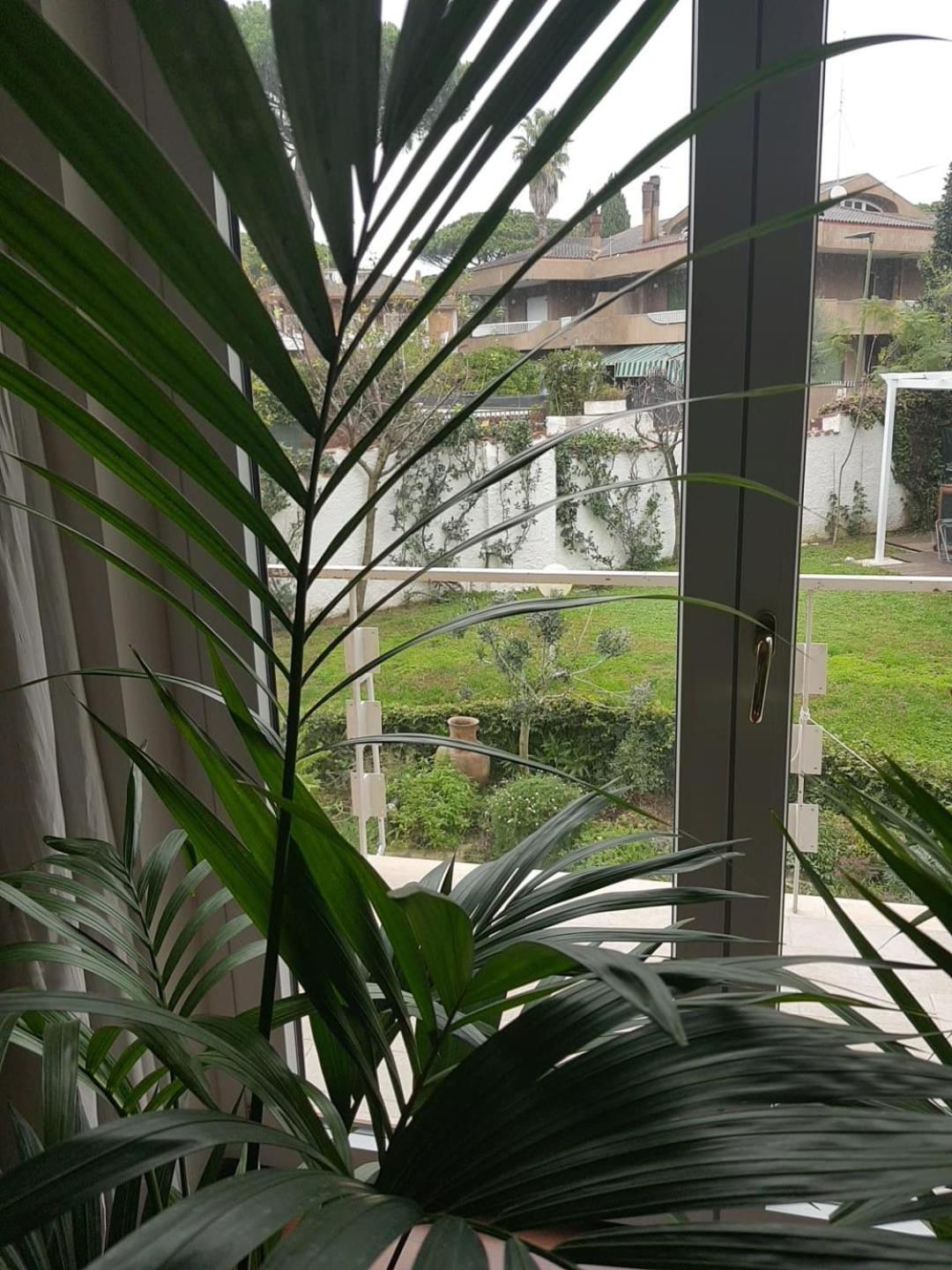 Roma - Casalpalocco - Amipsia Ξενοδοχείο Casal Palocco Εξωτερικό φωτογραφία